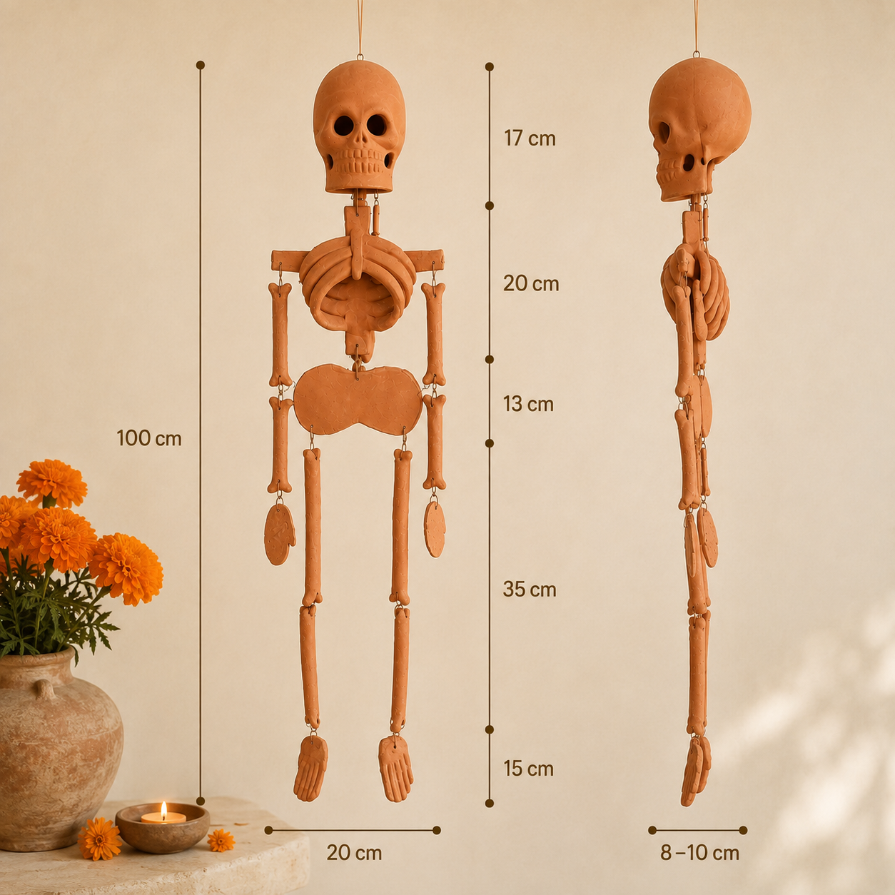Esqueleto 100 cm2